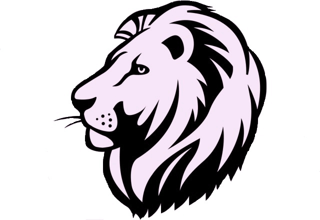 Lyon & Co LLP Company Logo