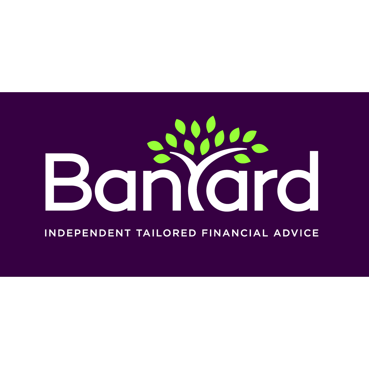 Banyard Independent Advice Services Ltd Company Logo